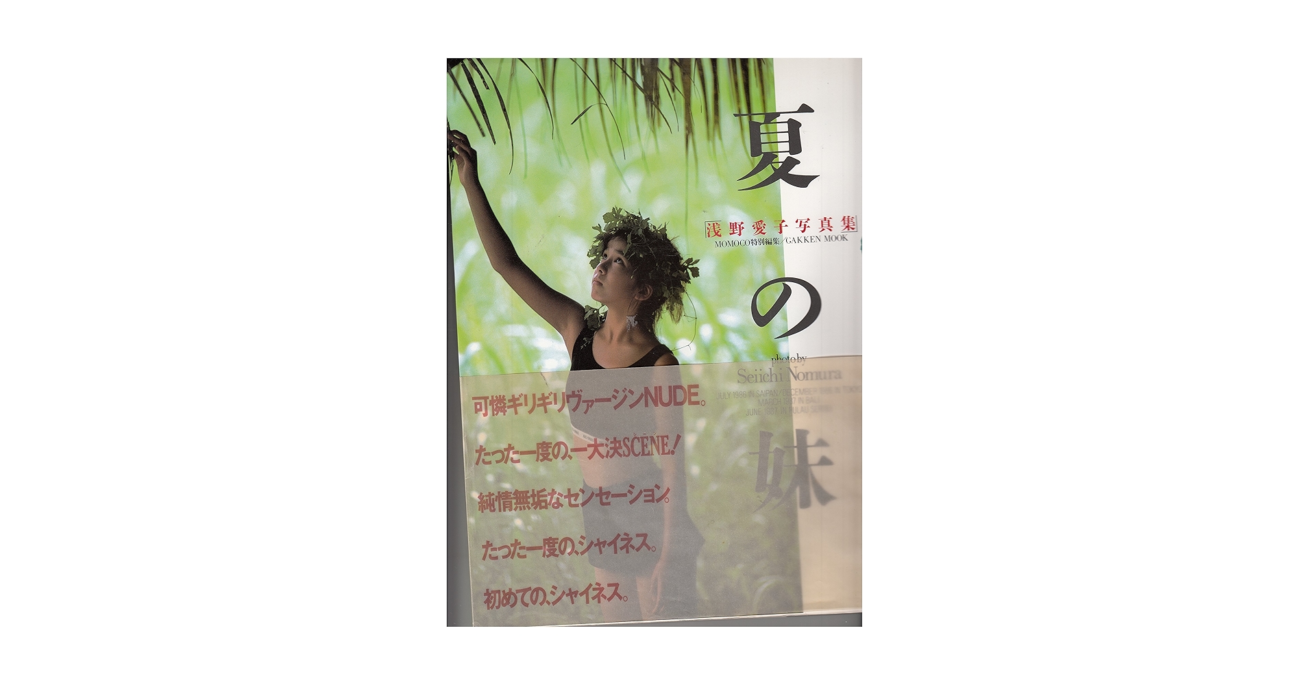 Amazon.co.jp: 夏の妹 浅野愛子写真集 : 浅野 愛子, 野村 誠一: 本